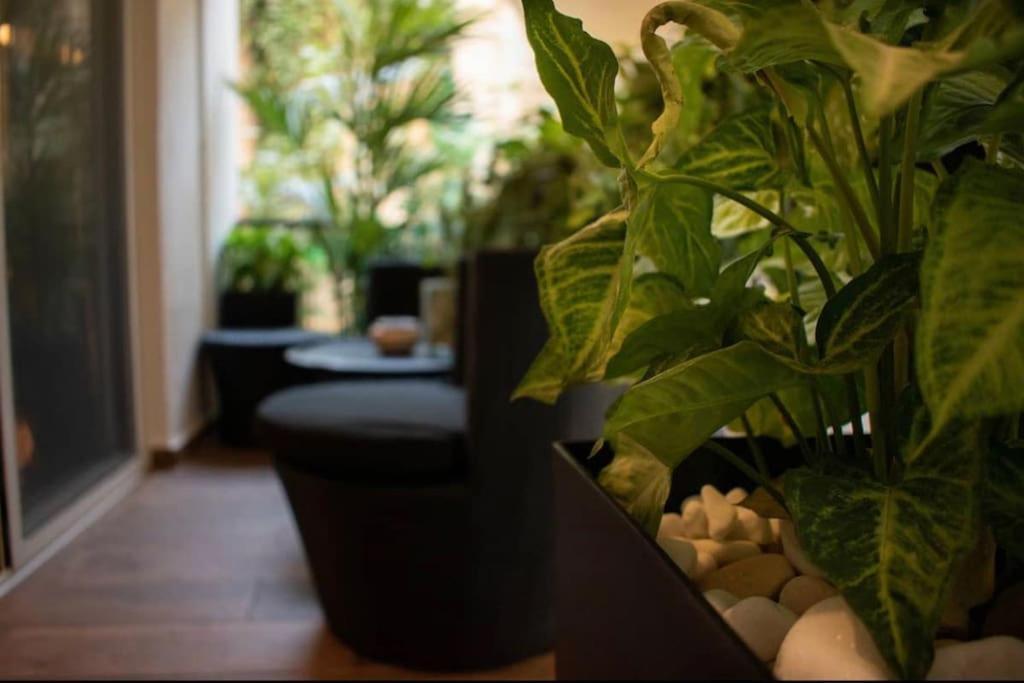 Novel Acropolis Apartment Athènes Extérieur photo